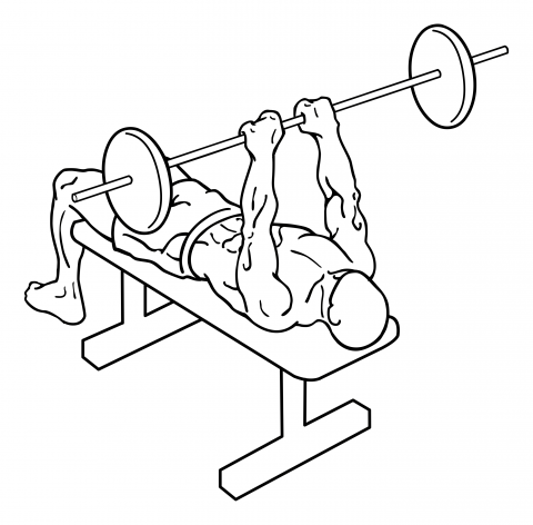 Close Grip Barbell Bench Press - Ceaseless Fitness