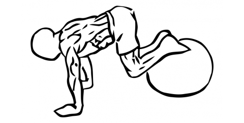 Exercise Ball Pull In - Ceaseless Fitness
